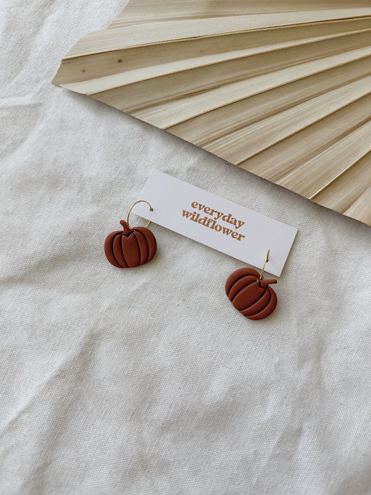 Pumpkin Hoops - Nutmeg